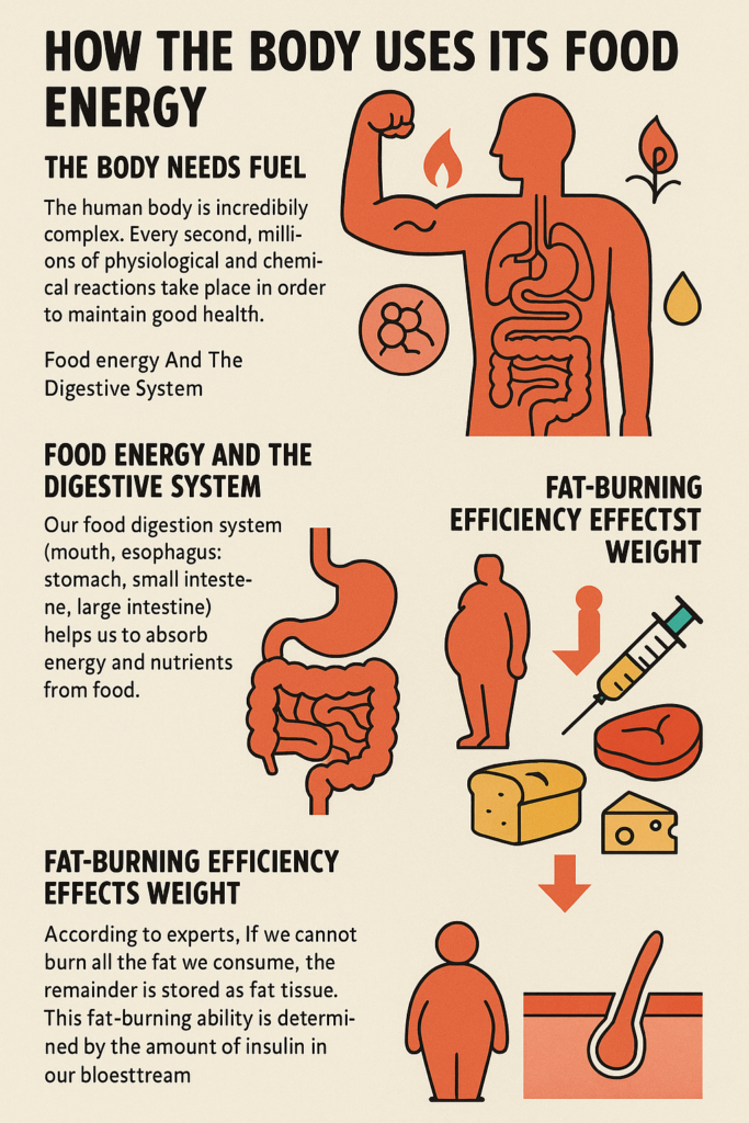 The Body Needs Fuel